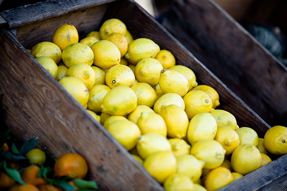 Aphis Lemon Imports | Farrow